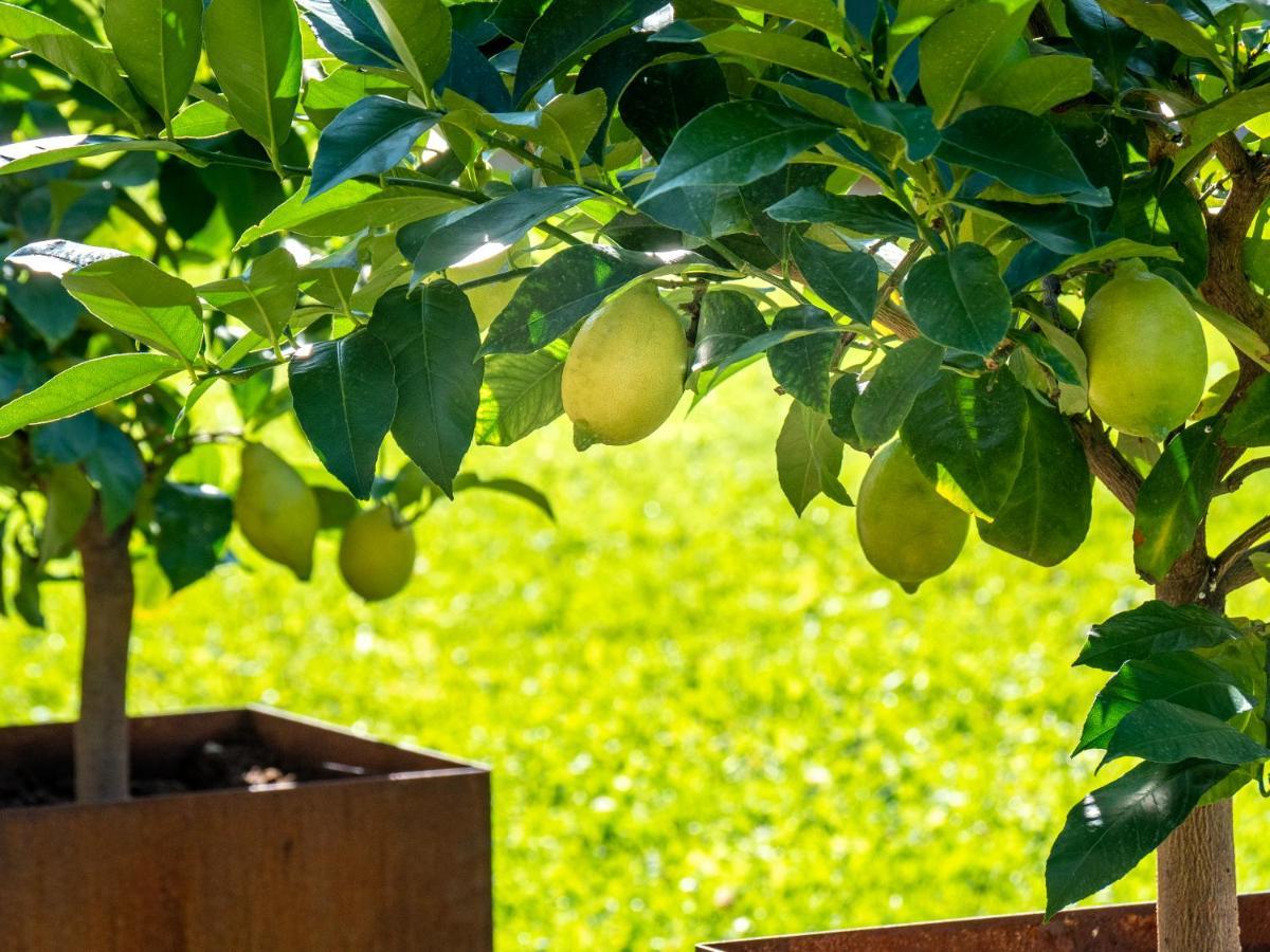 Gartenheim Tramin Termeno Ngoại thất bức ảnh